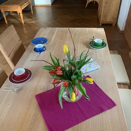 Ferienwohnung Buchner Appartamento